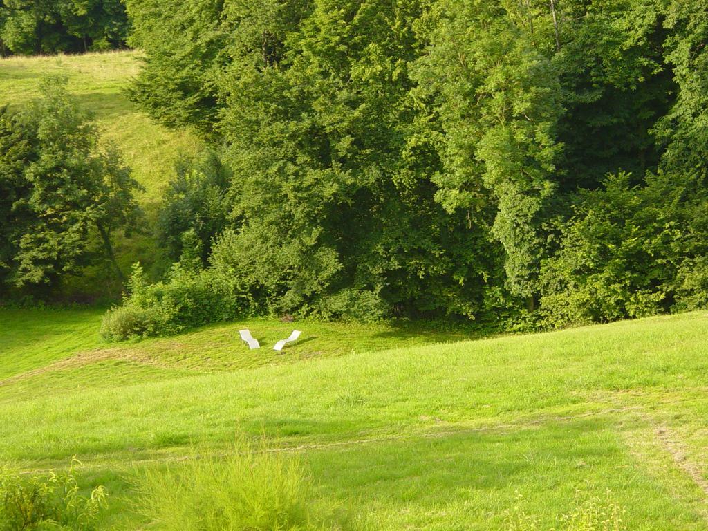 La Parenthese Panzió Saint-Genix-sur-Guiers Kültér fotó